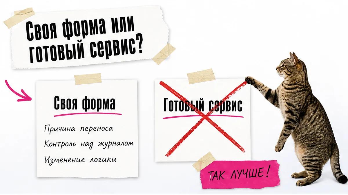 Кот сравнивает карточки «Своя форма» и «Готовый сервис» и поднимает лапу у выбранного варианта.