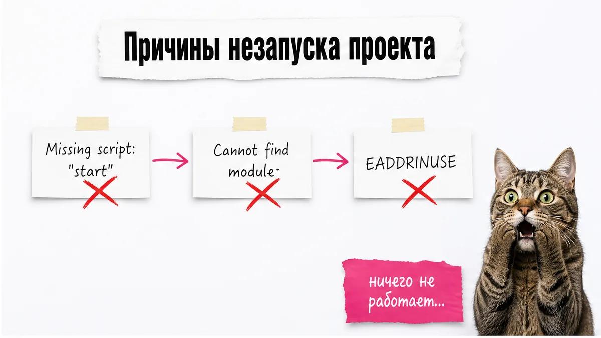 Кот в шоке рассматривает карточки с причинами сбоя запуска проекта.