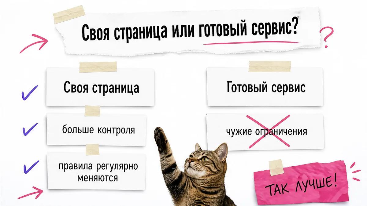 Кот одобряет собственную страницу с прайсом и расчетом стоимости.