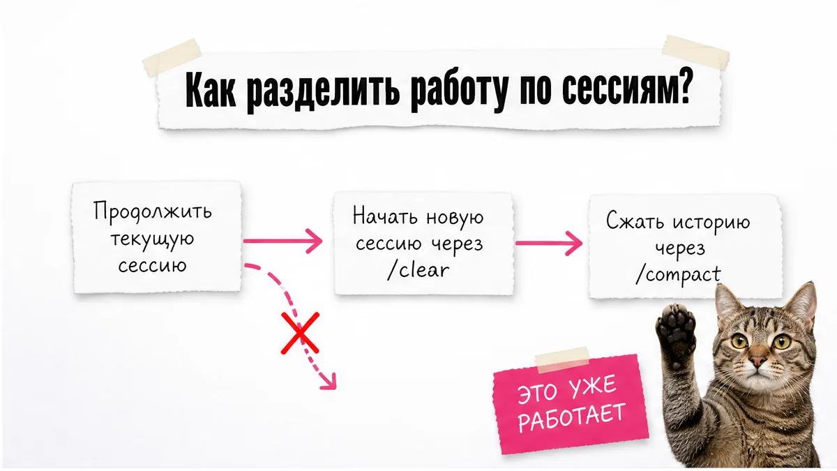 Кот одобрительно смотрит на карточки с вариантами управления сессией.