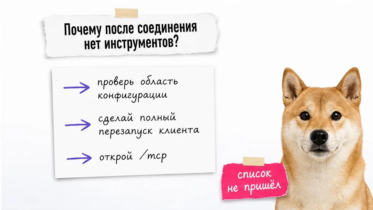 Собака рассматривает карточки диагностики подключения без доступных инструментов.