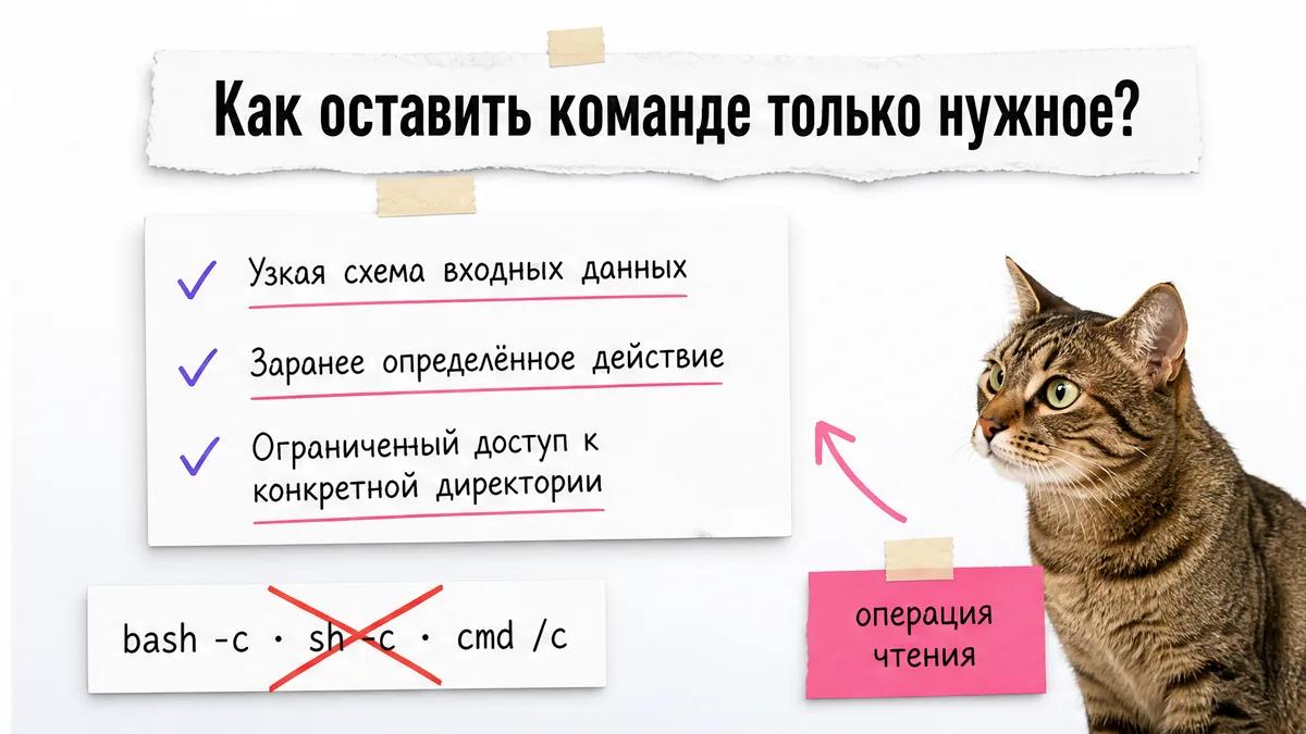 Кот удивлённо смотрит на карточки с правилами одной безопасной команды.