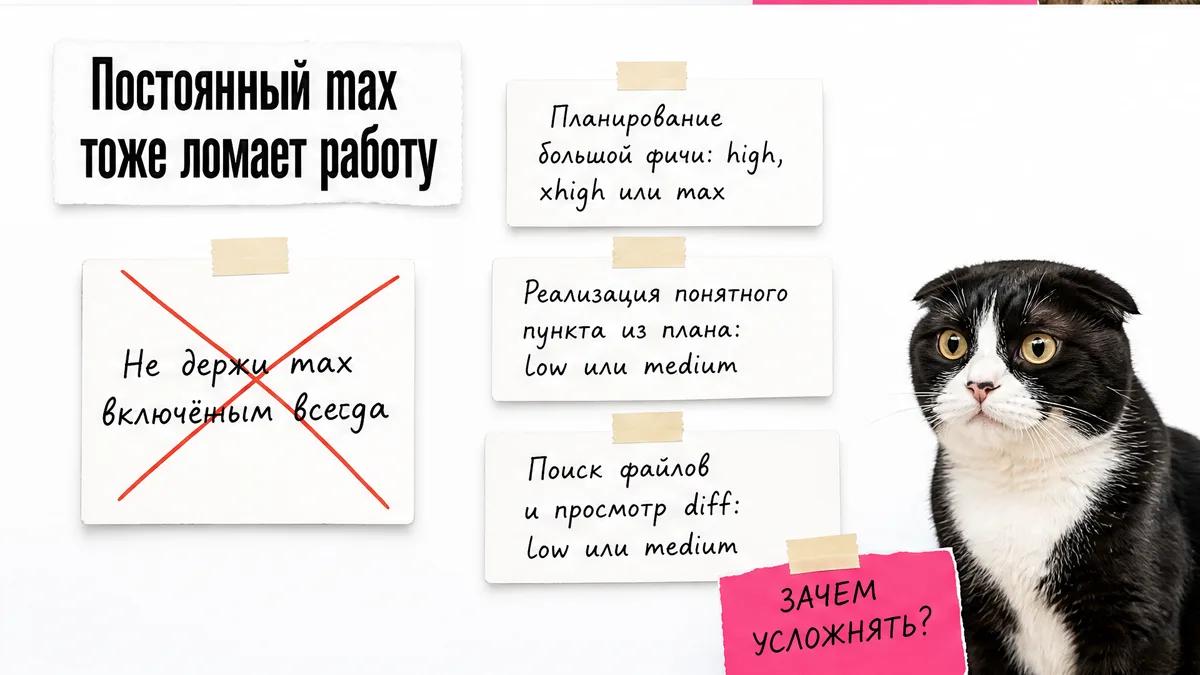 Кот тревожно смотрит на предупреждение о постоянном максимальном effort.