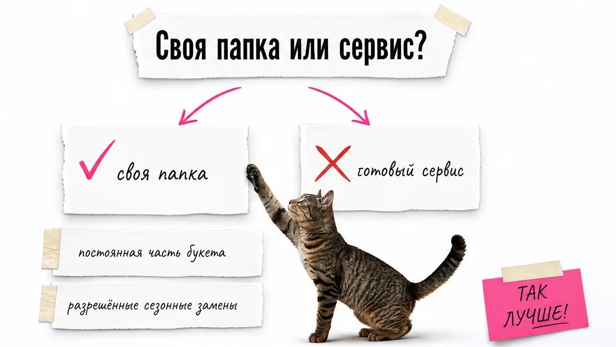 Кот выбирает свою папку с постоянным составом и сезонными заменами вместо готового сервиса.