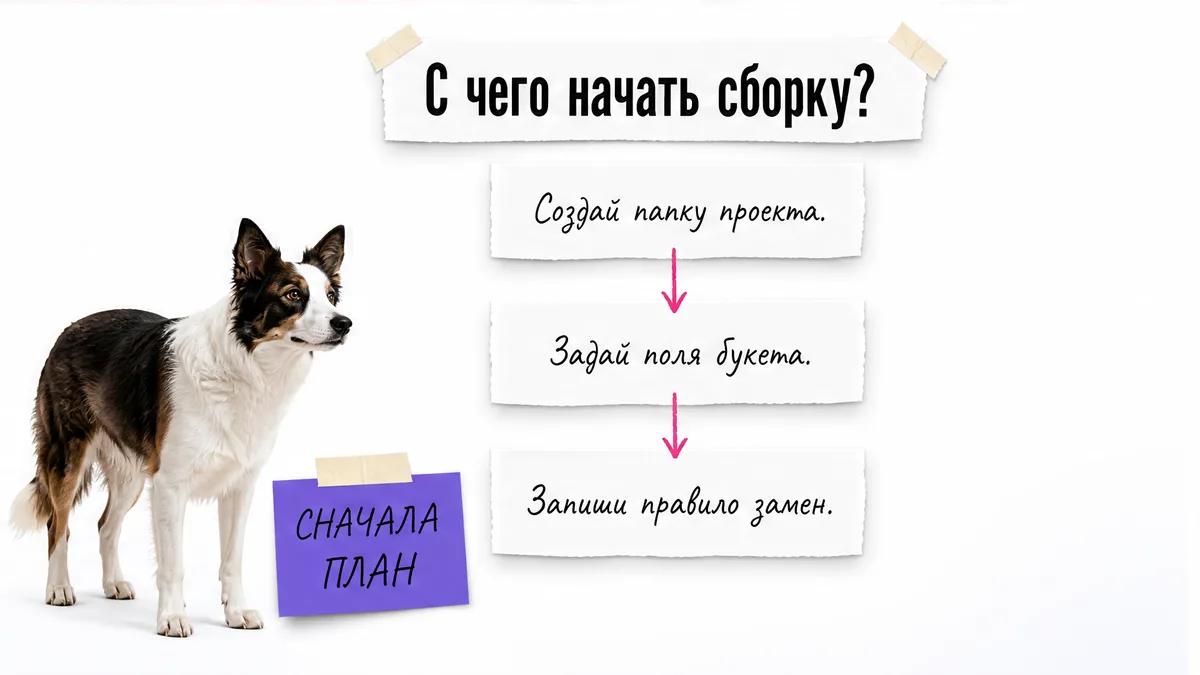 Собака рассматривает карточки с тремя первыми шагами сборки описания букета.