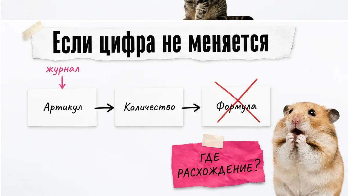 Хомяк в шоке смотрит на схему проверки артикула, количества и формулы.