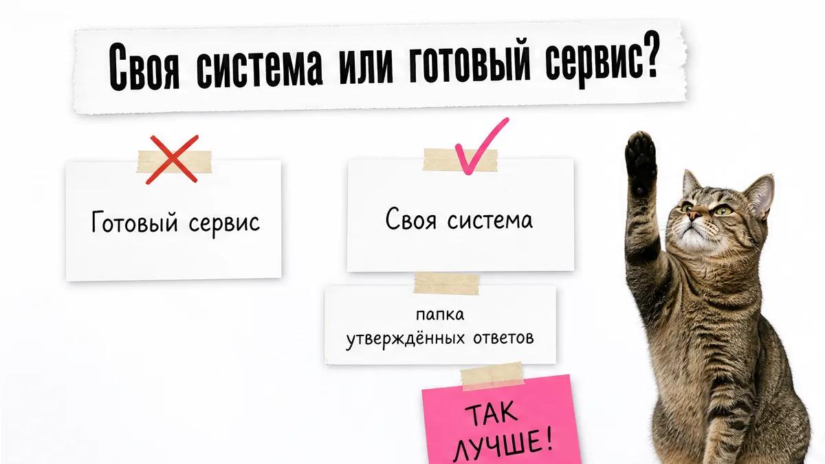 Кот сравнивает готовый сервис и свою систему ответов.