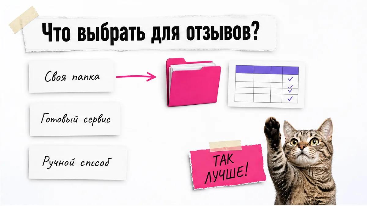 Кот одобряет выбор собственной папки среди трёх способов работы с отзывами.