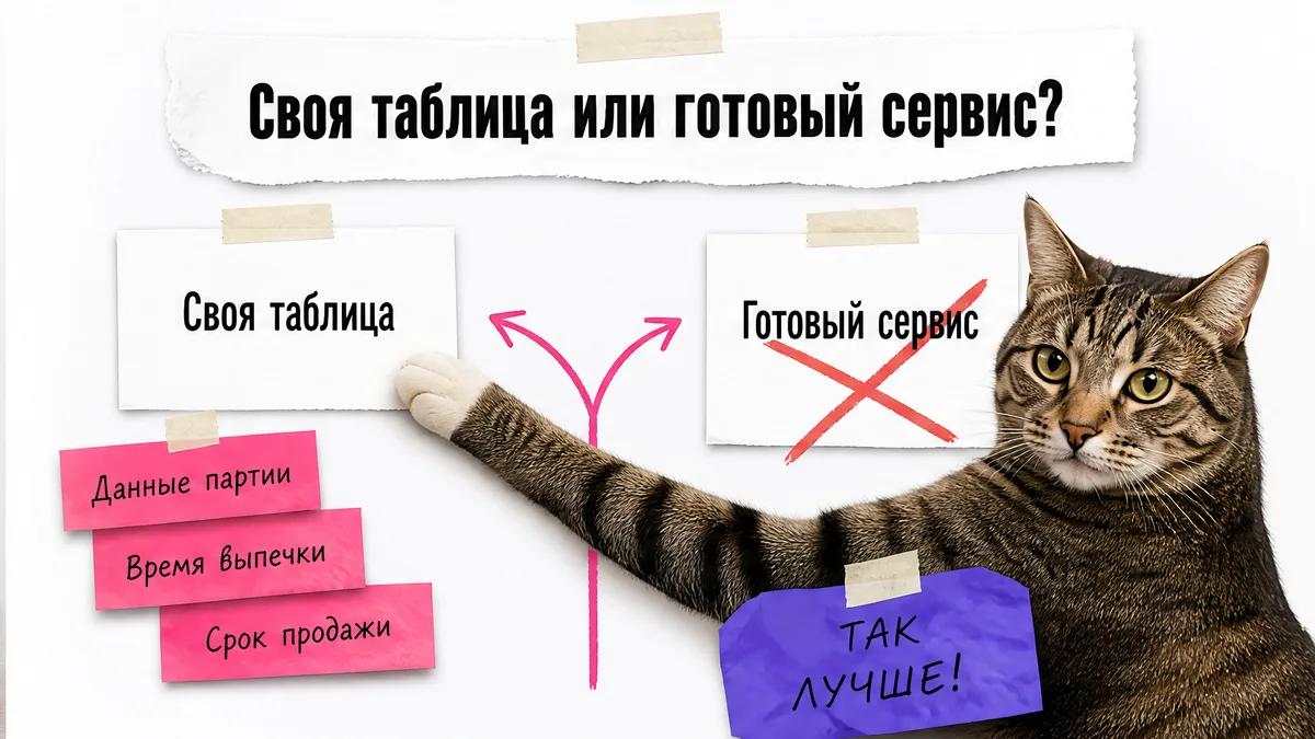 Кот сравнивает свою таблицу с готовым сервисом и указывает на данные партии.
