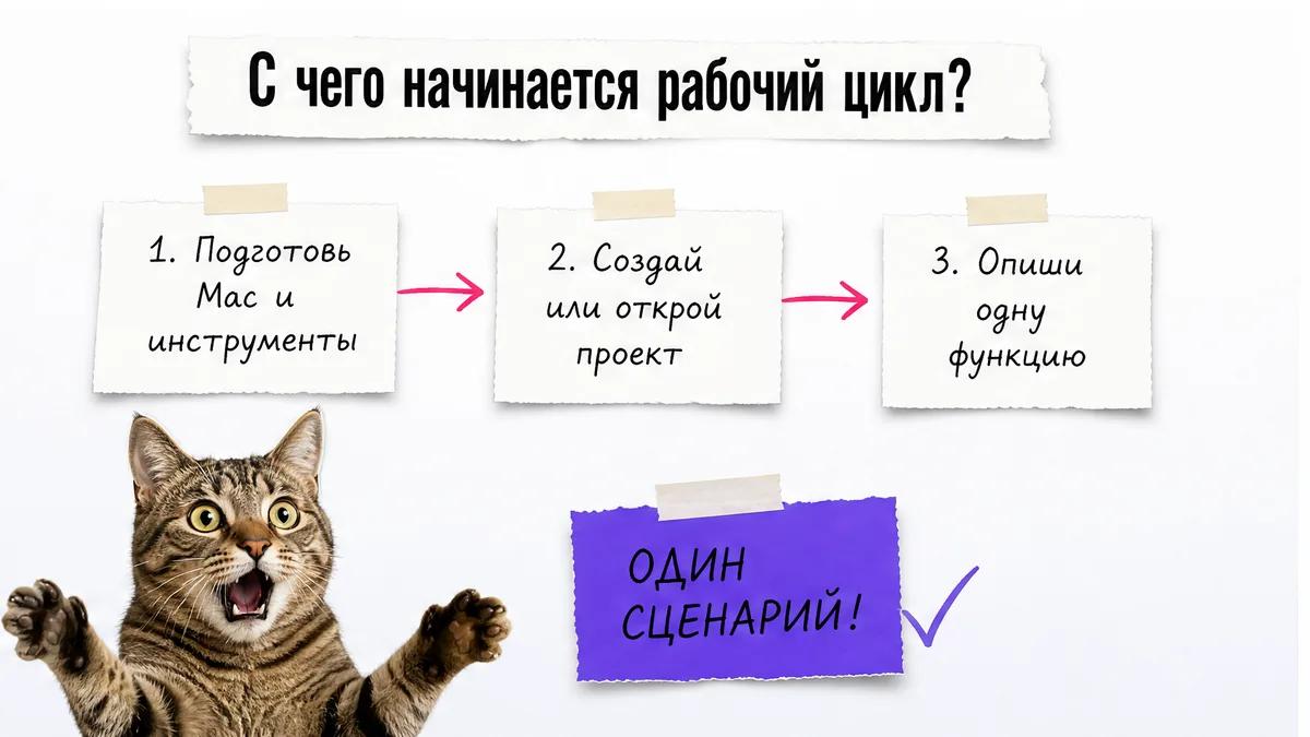 Кот смотрит на цепочку из трёх первых шагов создания локального iOS-прототипа.