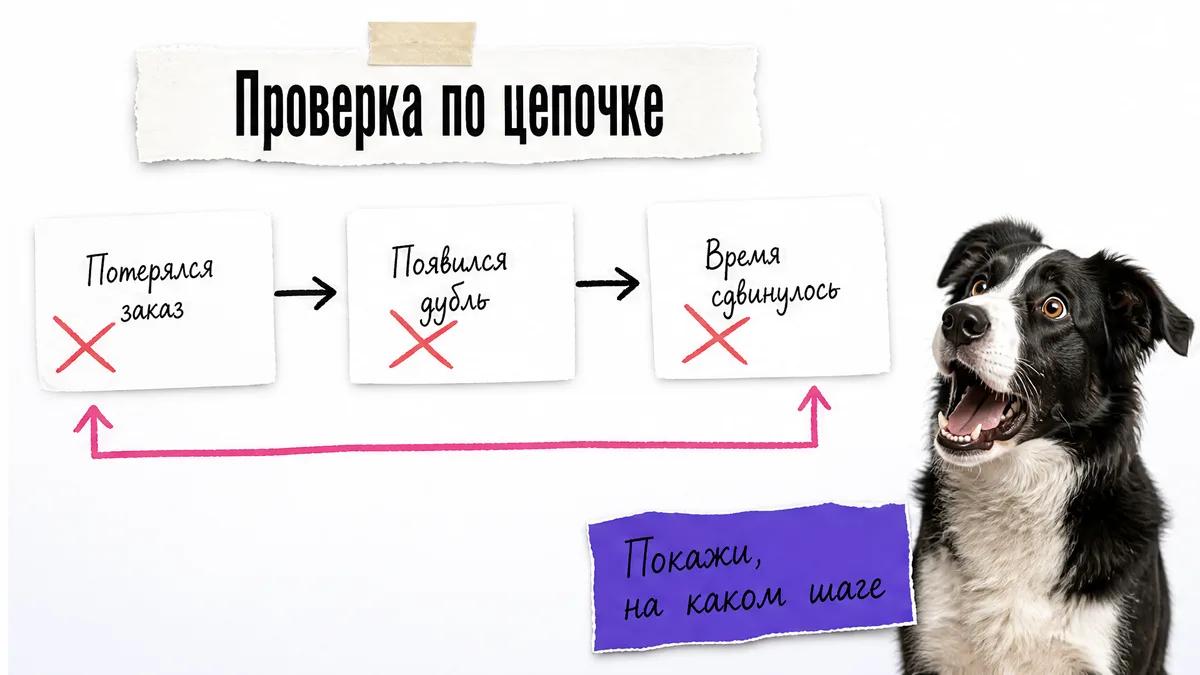 Собака в шоке смотрит на схему проверки ошибок доски заказов.