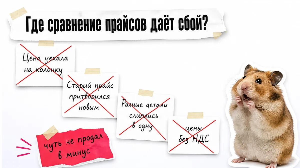 Хомяк в шоке смотрит на четыре карточки с причинами ошибок в прайсе.