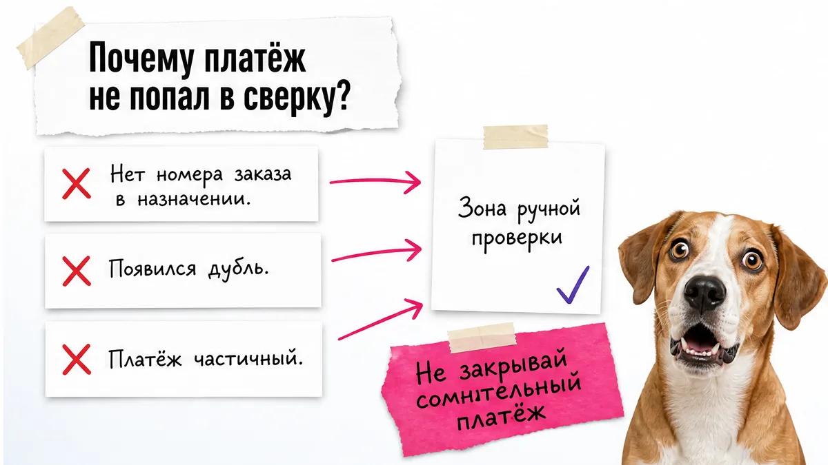Шокированный пёс указывает на три причины, по которым платёж не попал в сверку.
