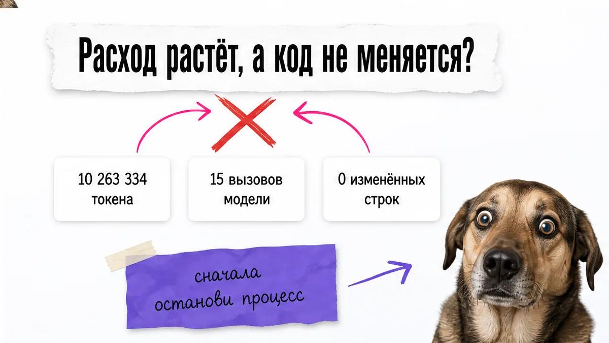 Собака в шоке смотрит на карточки с огромным расходом и нулевым результатом.