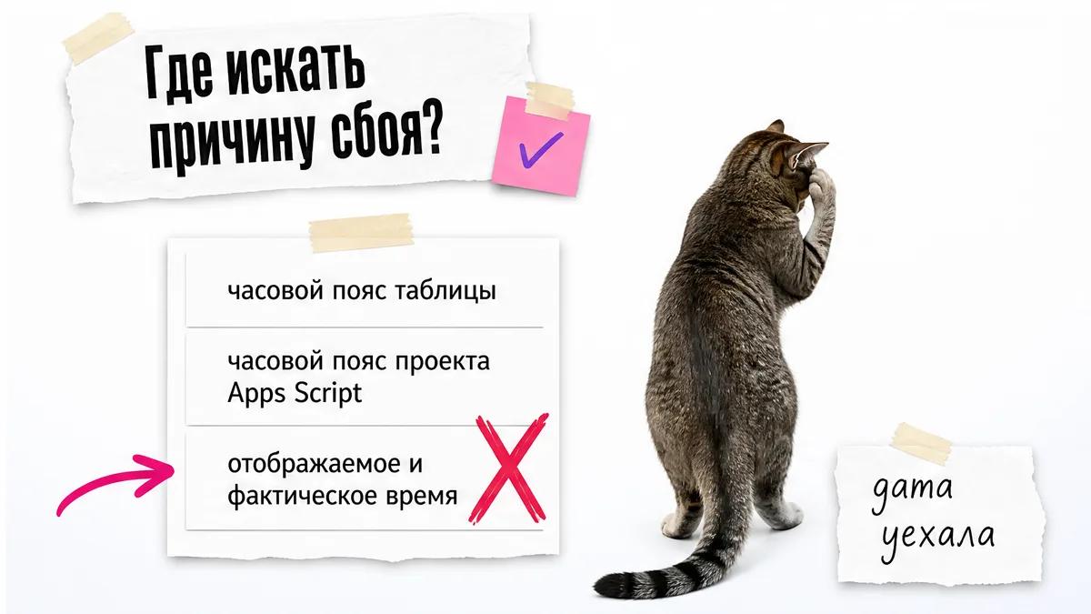 Кот сбоку у схемы проверки часового пояса и уведомления.