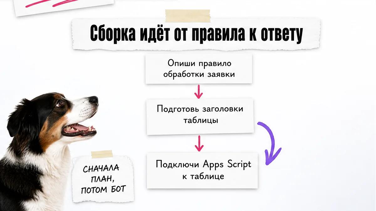 Собака удивлённо смотрит на карточки семи шагов сборки бота.