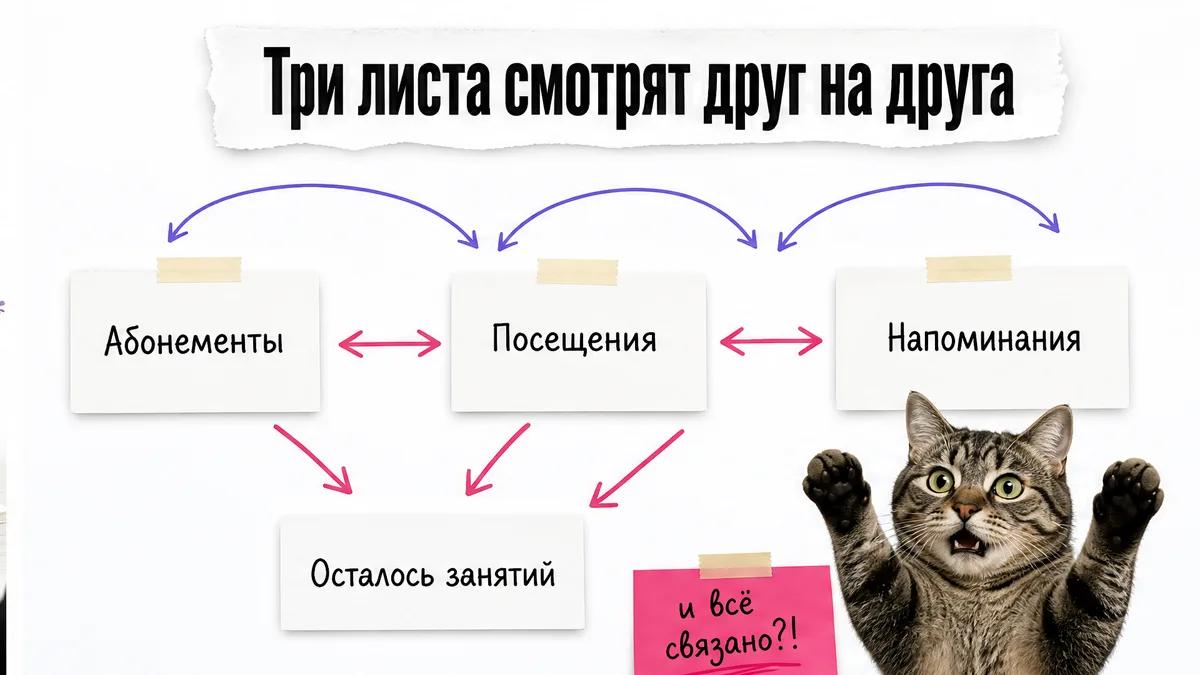 Кот удивлённо смотрит на три связанных листа таблицы учёта.