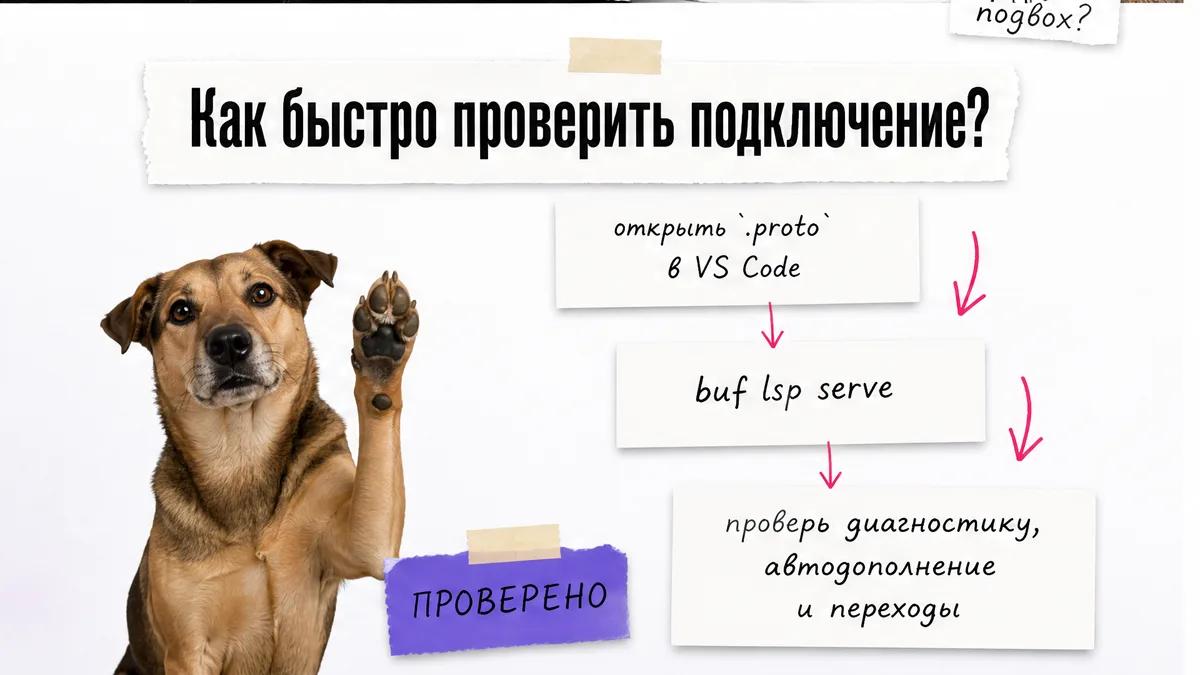 Собака поднимает лапу рядом с тремя шагами проверки Buf LSP.