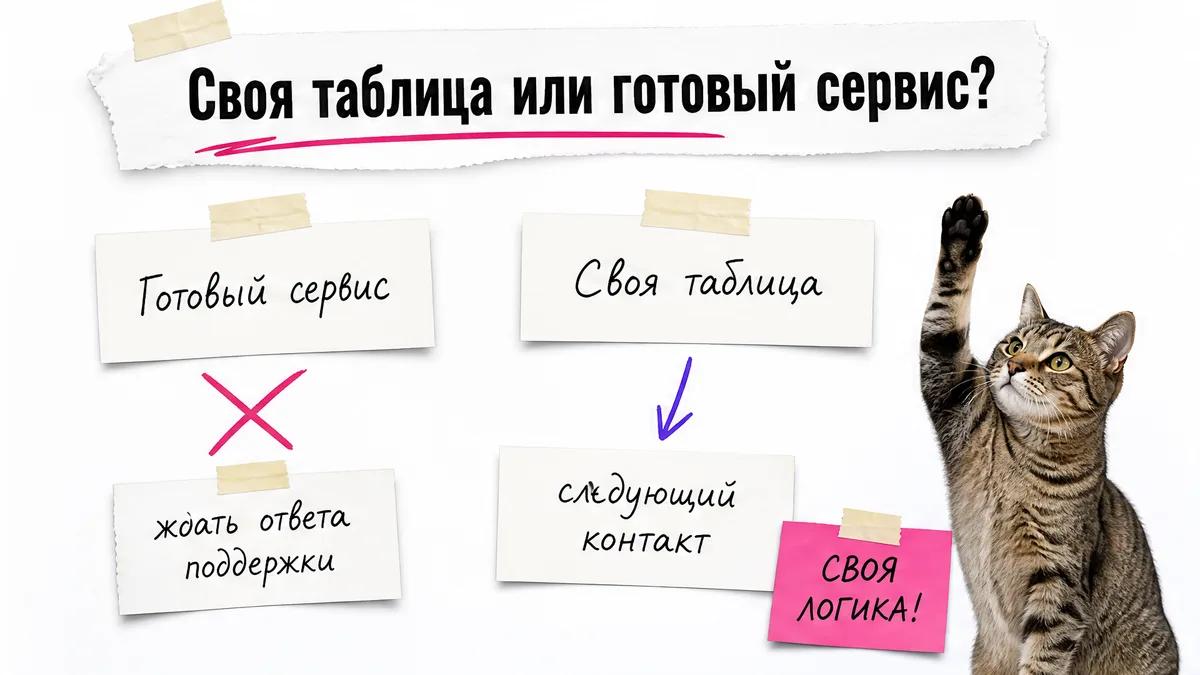 Кот одобряет собственную таблицу рядом с карточками готового сервиса.