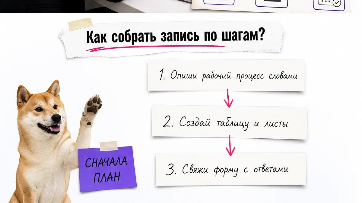 Собака смотрит на три карточки с этапами сборки записи клиентов.