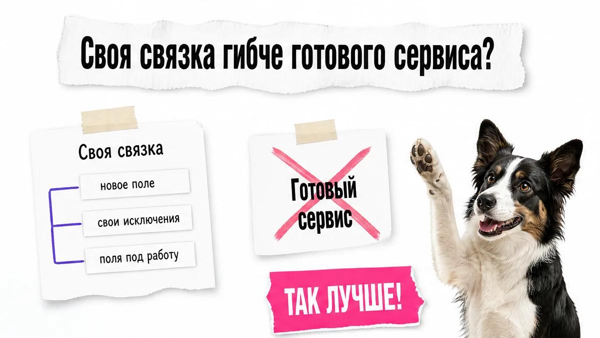 Пёс одобряет сравнение своей связки с готовым сервисом.