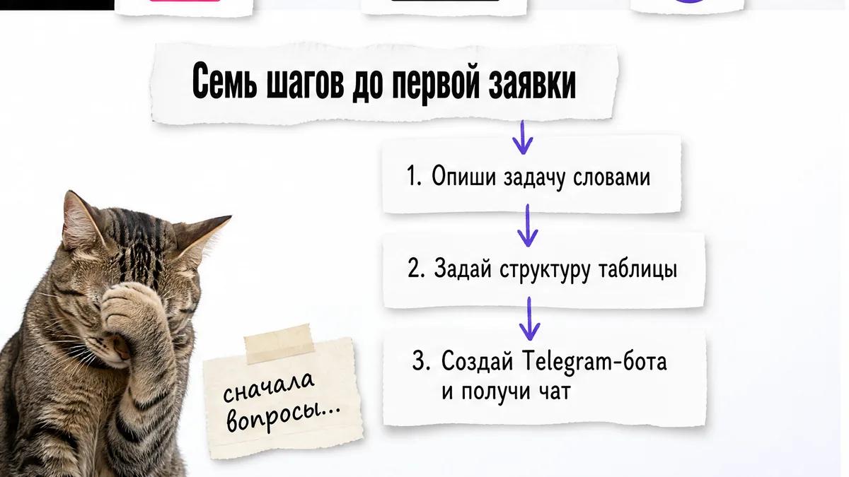 Кот закрывает морду лапой рядом с карточками первых шагов сборки.