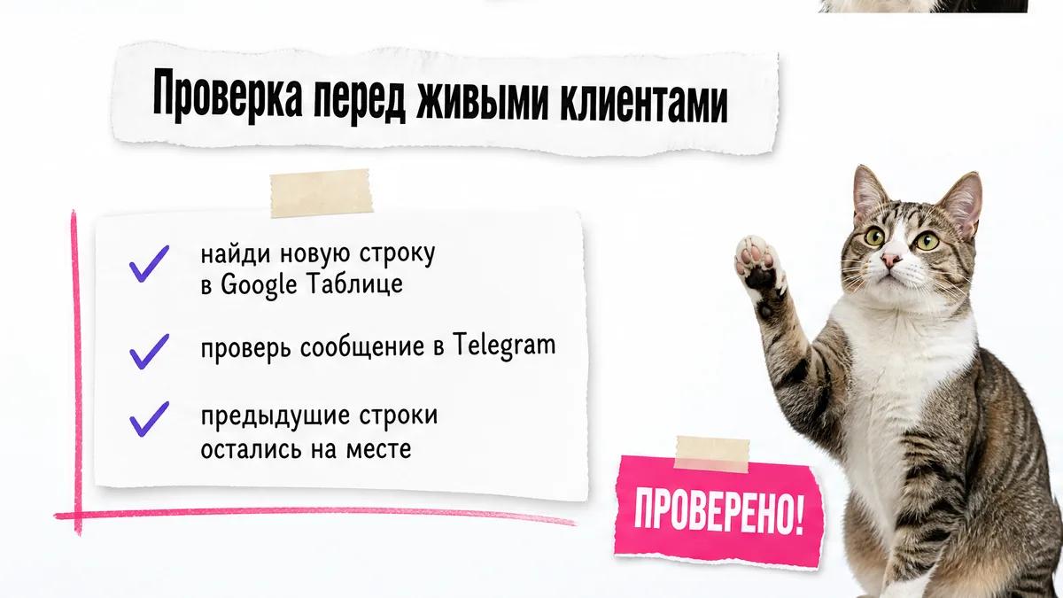 Кот с поднятой лапой показывает чек-лист проверки заявки в таблице.