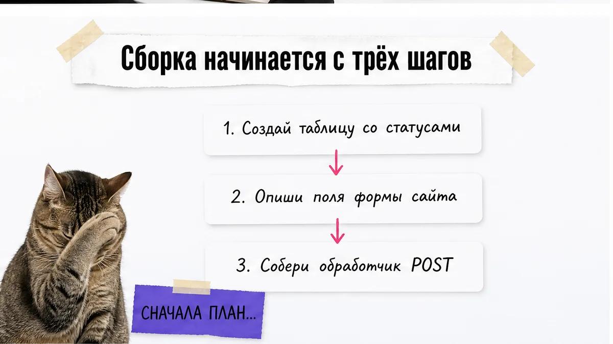 Кот прикрывает морду лапой рядом со схемой первых трёх шагов сборки.